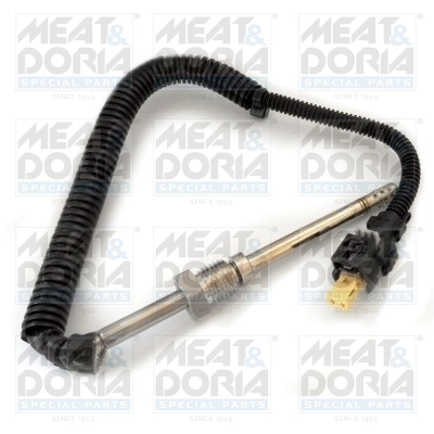 Sensor, exhaust gas temperature
